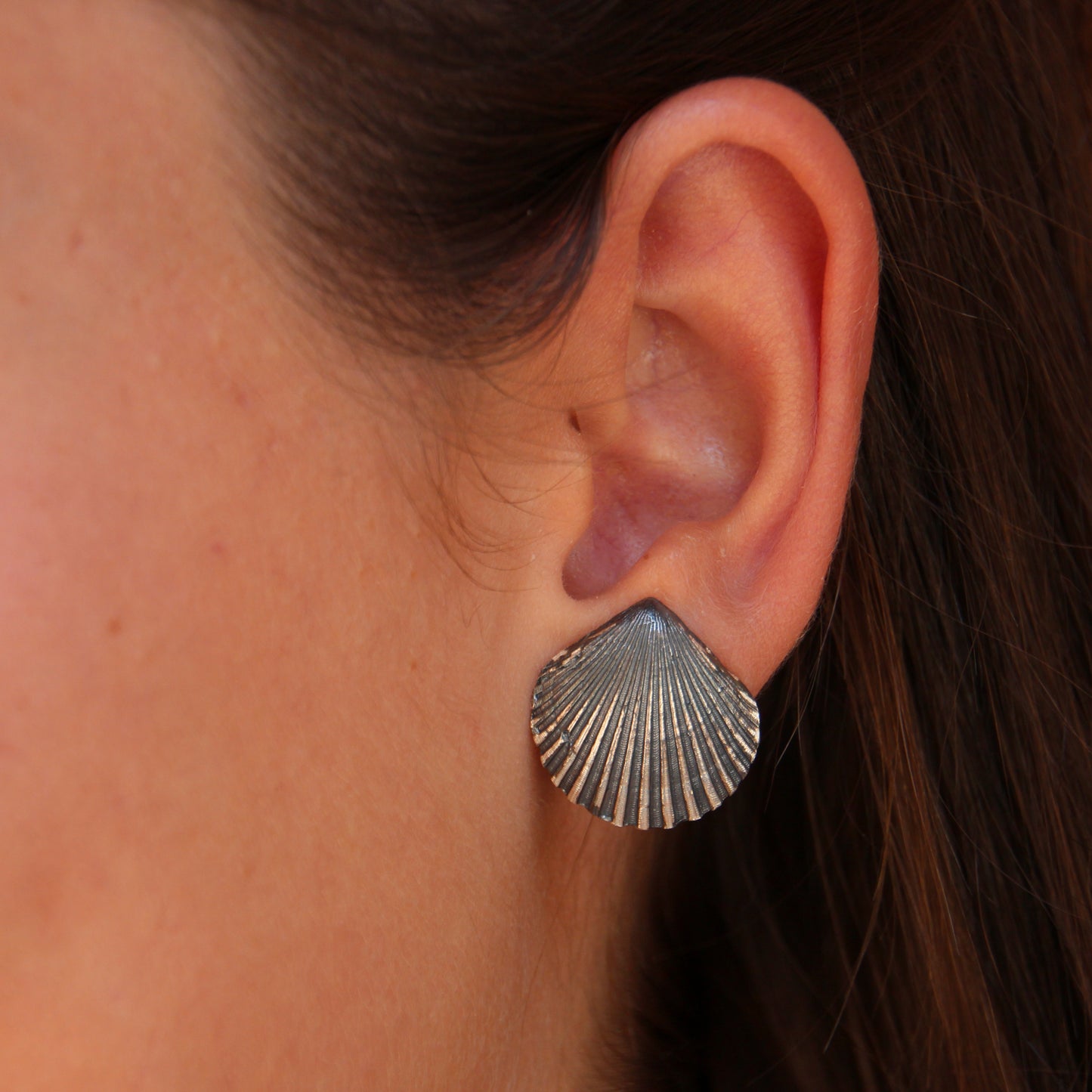 Pendientes Conchas de plata oxidada