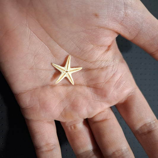Pendientes Estrella de Mar mini plata con baño de oro