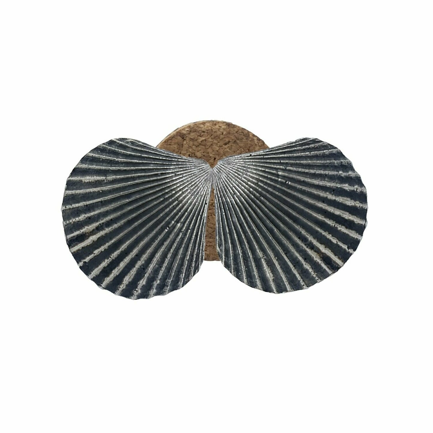 Pendientes Conchas de plata oxidada