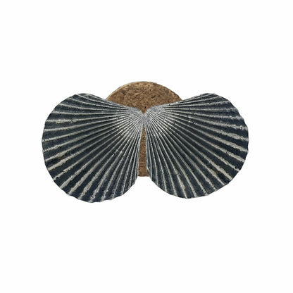 Pendientes Conchas de plata oxidada