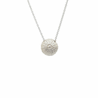 Collares de Erizos de mar plata