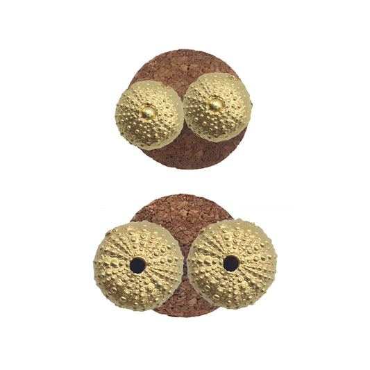 Pendientes Erizos de Mar de plata chapada en oro 18K