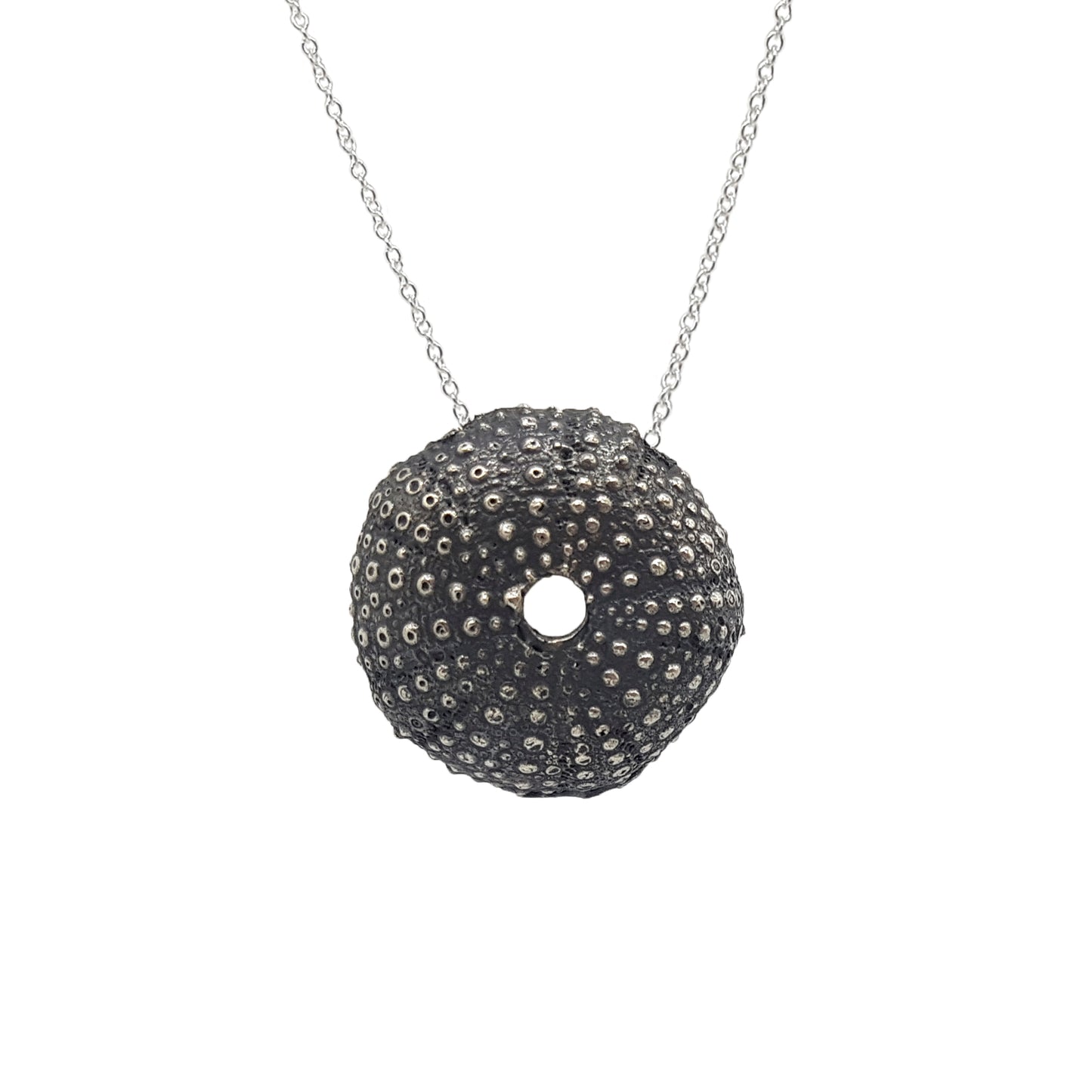 Erizos de mar plata oxidada