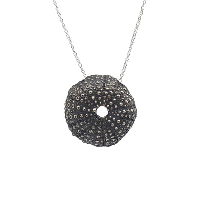 Erizos de mar plata oxidada