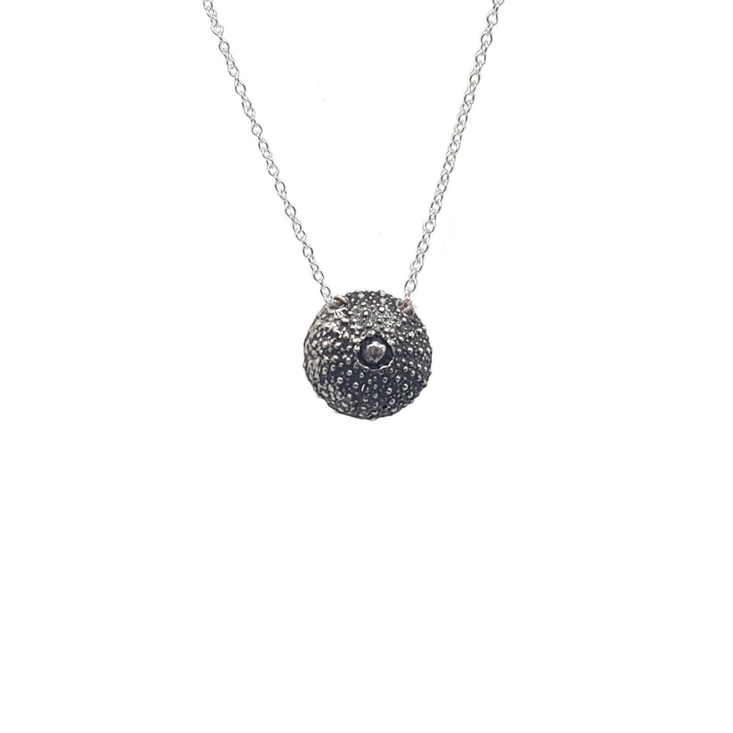 Erizos de mar plata oxidada