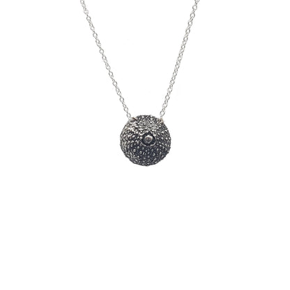 Erizos de mar plata oxidada