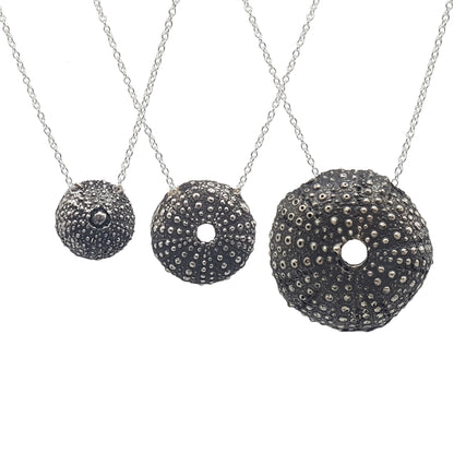 Erizos de mar plata oxidada