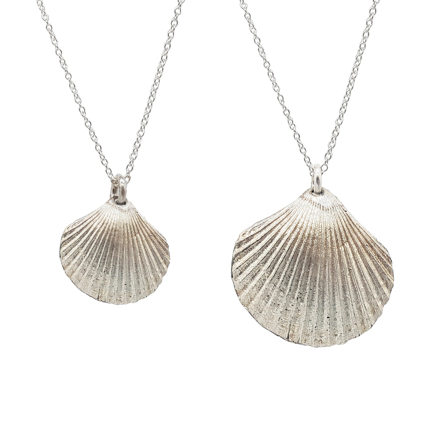 Collares Conchas de plata