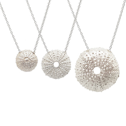 Collares de Erizos de mar plata