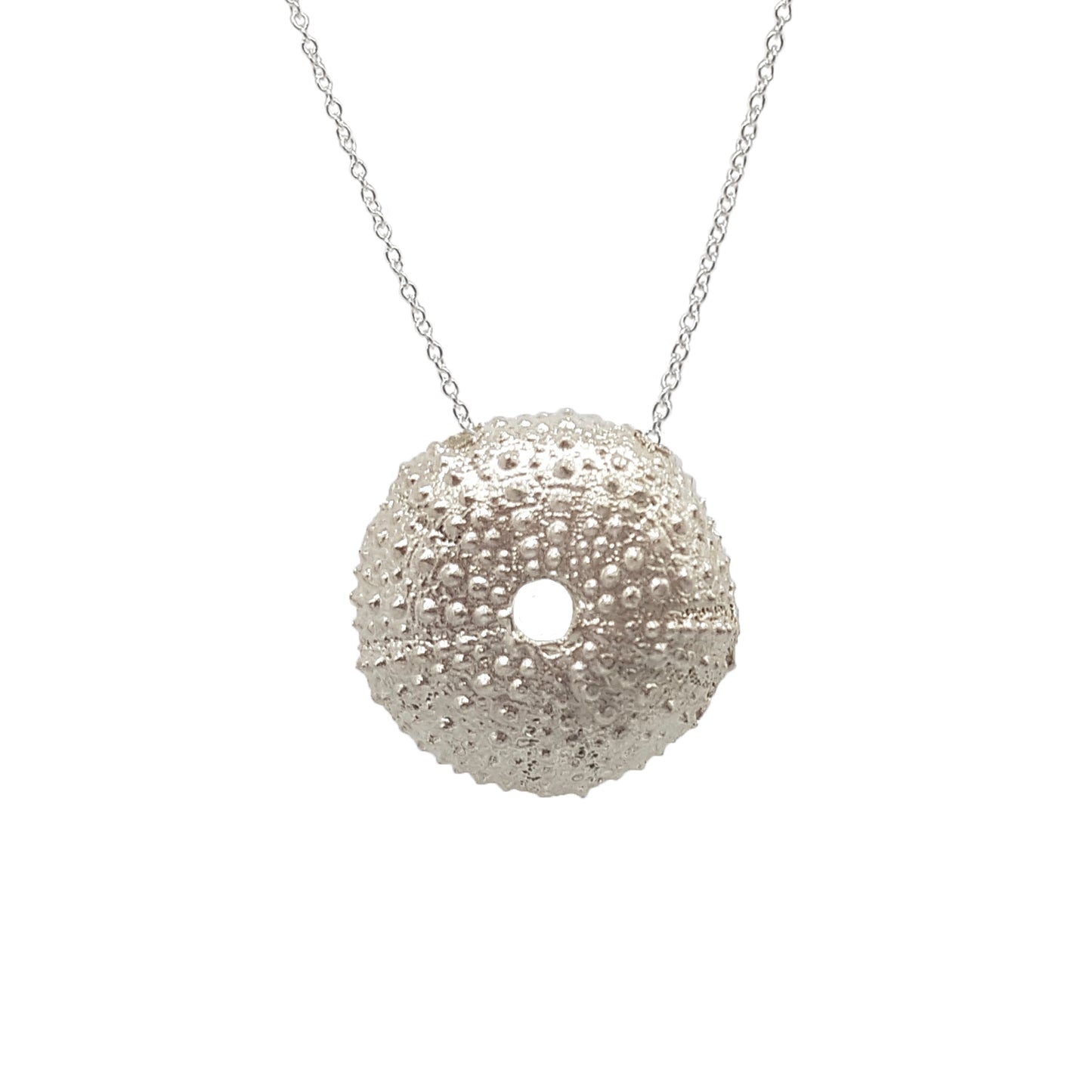 Collares de Erizos de mar plata