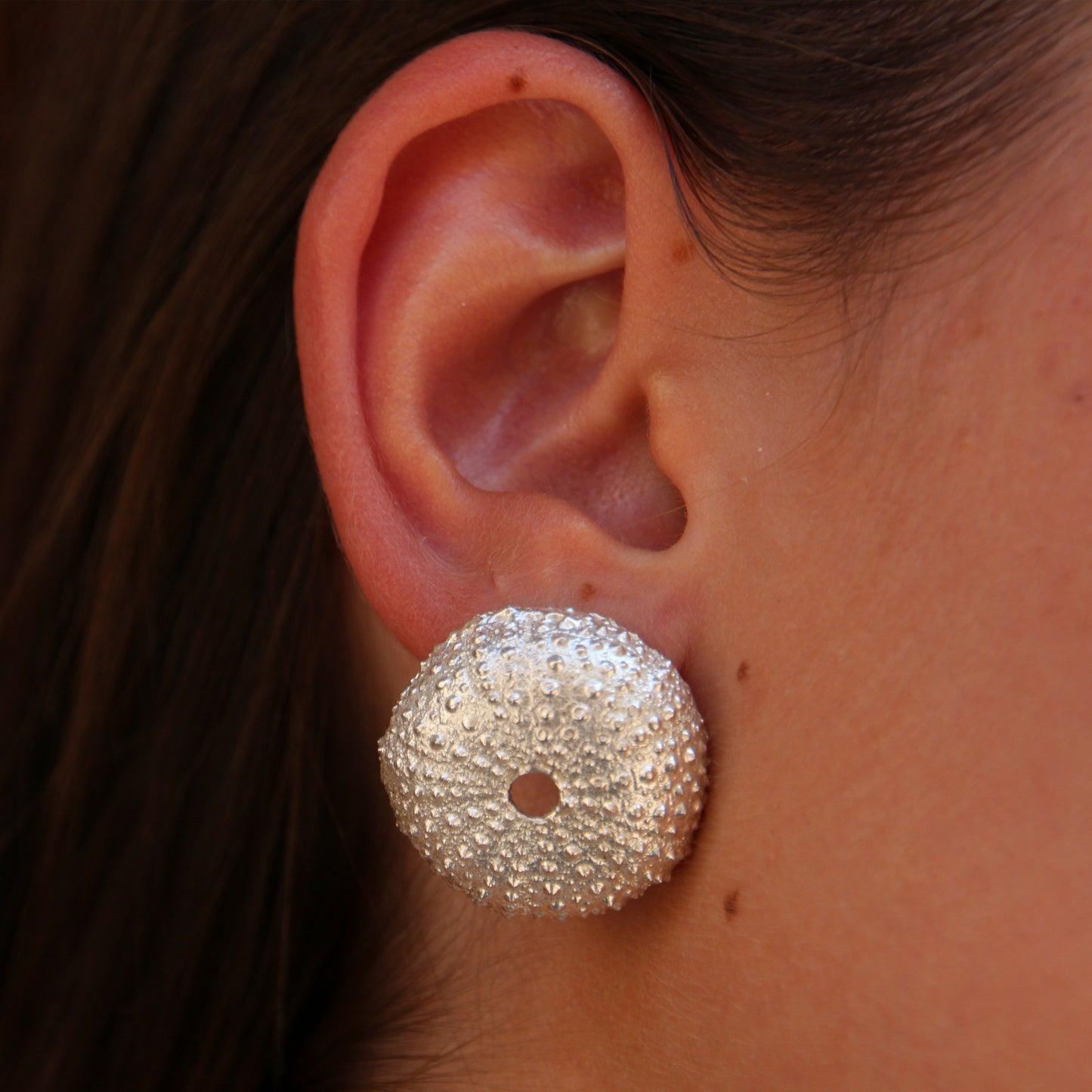 Pendientes Erizos de mar de plata