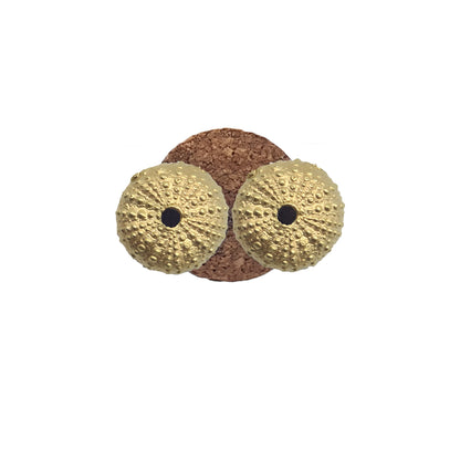 Pendientes Erizos de Mar de plata chapada en oro 18K