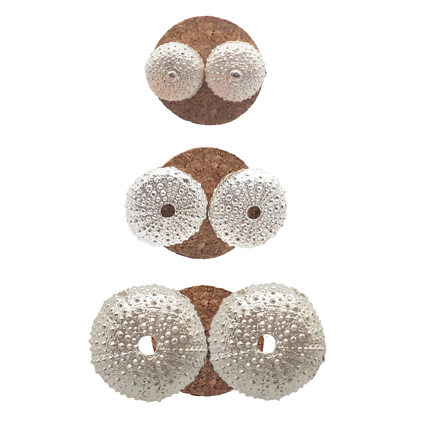 Pendientes Erizos de mar de plata