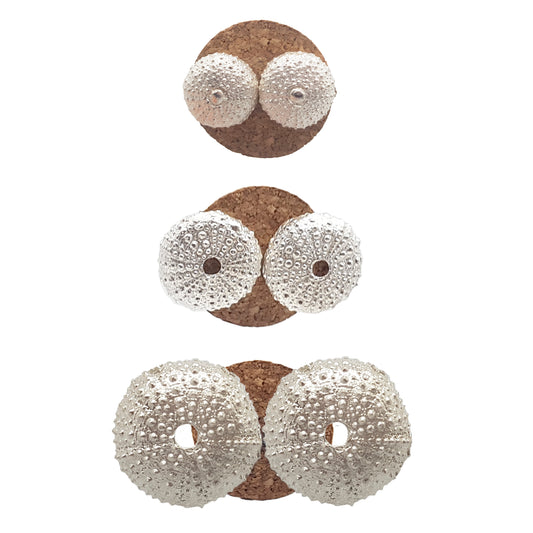 Pendientes Erizos de mar de plata