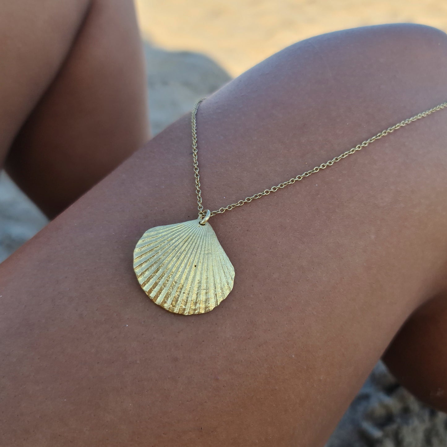 Collares Conchas de plata chapada en oro 18K