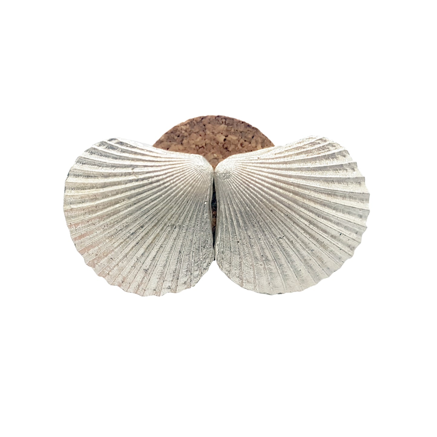 Pendientes Conchas de plata