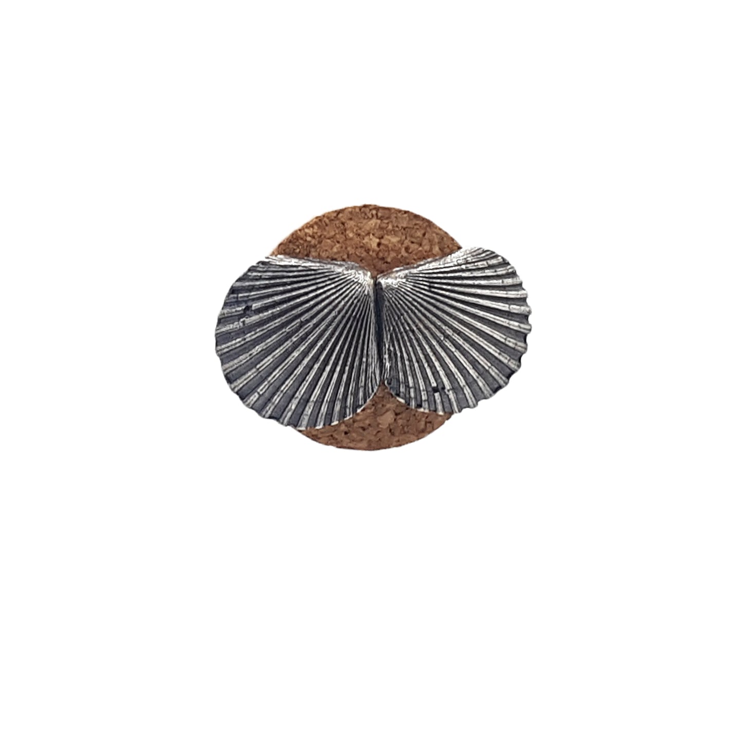 Pendientes Conchas de plata oxidada