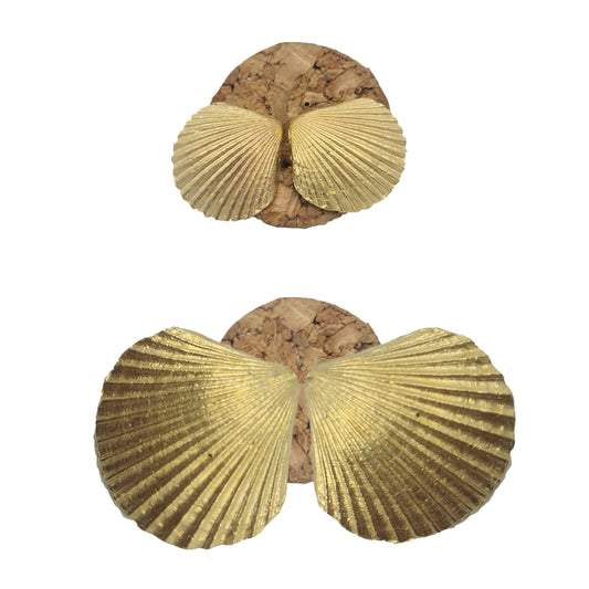 Pendientes Conchas de plata chapada en oro 18K
