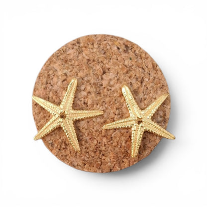 Pendientes Estrella de Mar mini plata con baño de oro