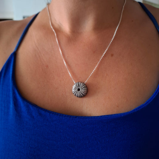 Erizos de mar plata oxidada